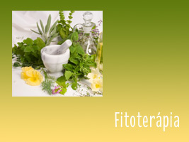 szekciok-fitoterapia